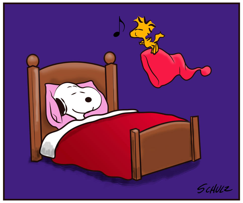 Snoopy dormido